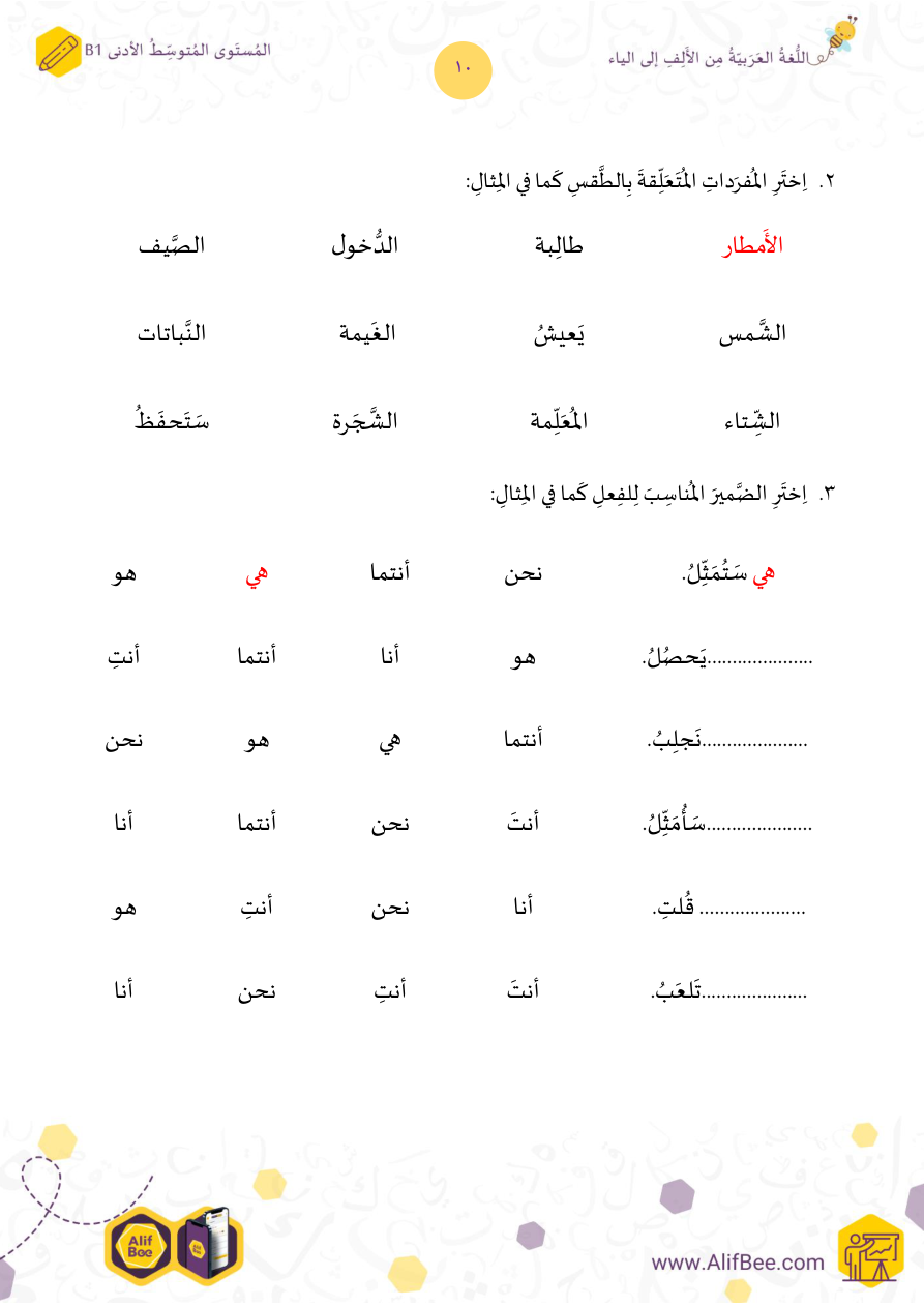 Vocabulary